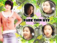 Park Shin Hye