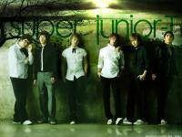 super junior