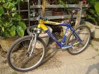 TREK3900