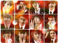 SJ 12 :: Super Junior