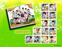 SJ IVY NEW