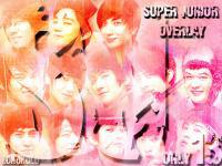 super junior overlay - only 13