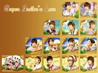 Super Junior's Land