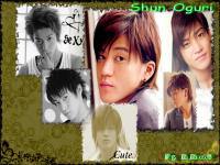 รักใสหัวใจเกินร้อย (Shun Oguri)