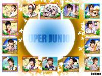 Super junior island