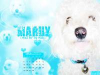 MARUY