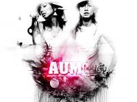 << Aum : Mixer >>