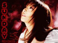 Sunday red_rose