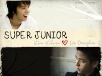 SUJU : KibumXDonghae Love Project