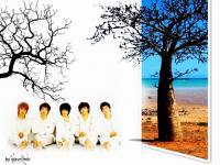 DBSK