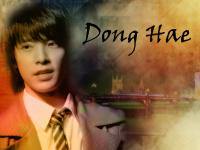 Wall[DongHae]