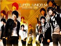 SJ M PROJECT~*