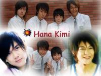 Hana Kimi