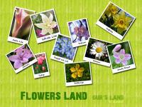 Flowers Land... Our's Land