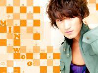 Lee Min Woo