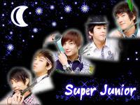 super junior