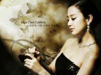 Kim Tae Hee...High Class Cerebrity