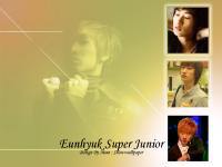 Eunhyuk Super Junior