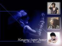 Hangeng Super Junior