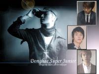 Donghae Super Junior