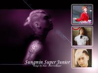 Sungmin Super Junior