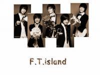 bg-f.t.island