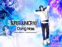Super Junior M::Dong Hae