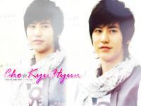 Cho KyuHyun~