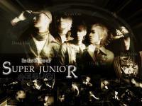 In The Name Of Super Junior