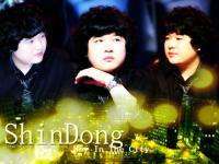 ShinDong Boy In The City