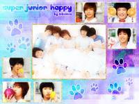 super junior happy