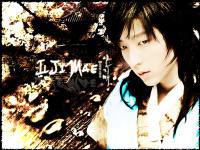 ILJIMAE (일지매)