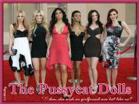 the pussycat dolls