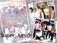 - Super Junior -