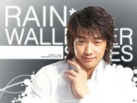 Rain Wallpaper Series No.6