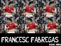 francesc fabregas