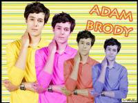 adam brody