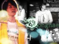 DongHae in Super Show