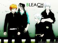 Bleach