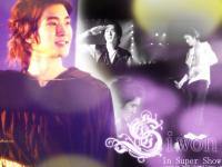 Siwon in Super Show