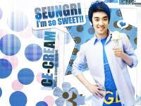 SEUNGRI 'n ICE-CREAM