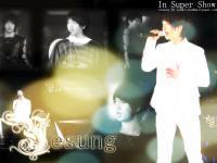 YeSung in Super Show