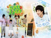 teuk SJ-h
