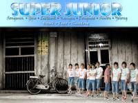 SJ |^oo^|