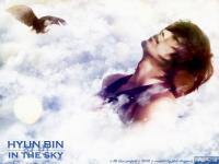 Hyun Bin in the sky