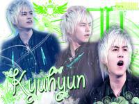 Kyu Don't Don SJ