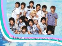 SuJu 13 only