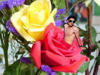 Mario in flower