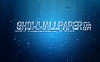 Raining :: showwallpaper