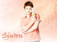 Love Siwon 4ever